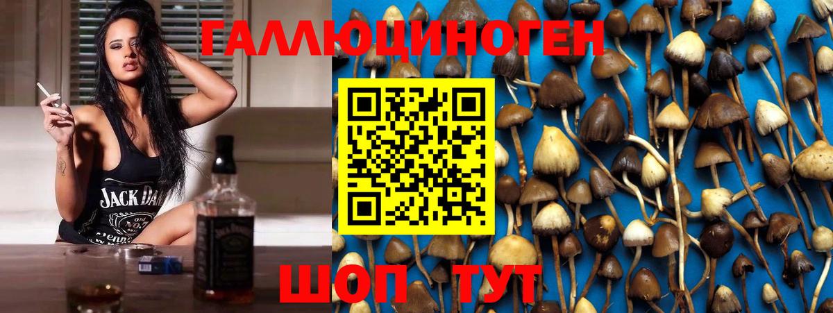 дарнет шоп  Вход с VPN  Старая Русса  Псилоцибиновые грибы ЛСД 